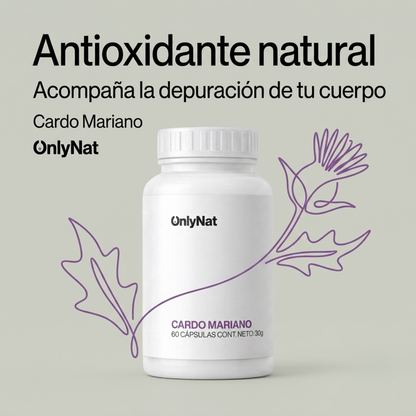 RESTABLECE TU HIGADO - CARDO MARIANO | ONLY-NATURAL